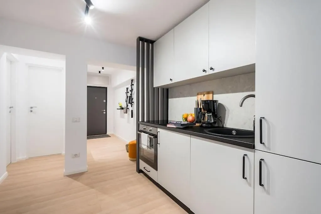 Spectacular Apartment - 4Br-Terrace - Piata Romana Bucharest
